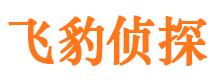 鲤城侦探公司